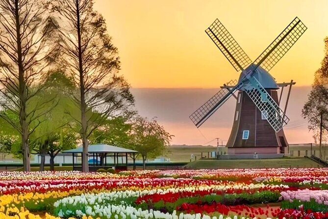 Tulips and Windmills Skip the Line Private Tour from Amsterdam - Zaanse Schans