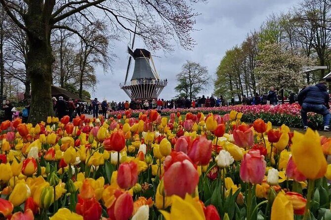 Tulips and Windmills Skip the Line Private Tour from Amsterdam - Why This Tour Works