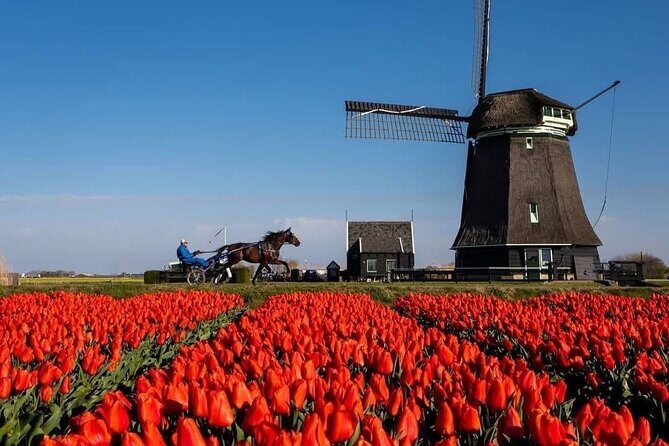 Tulips and Windmills Skip the Line Private Tour from Amsterdam - What’s Included and What’s Not