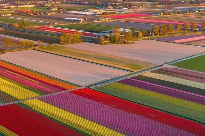 Tulips and Windmills Skip the Line Private Tour from Amsterdam - Analyzing the Value