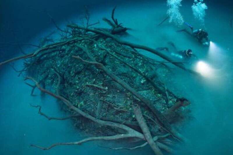 Tulum: 2 Dives in Chac Mool Cenote - What to Expect Underwater