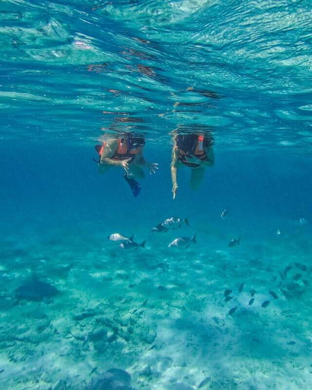 Tulum: 2-Hour Snorkeling in Two Spots of Tulum's Reef - The Itinerary Breakdown