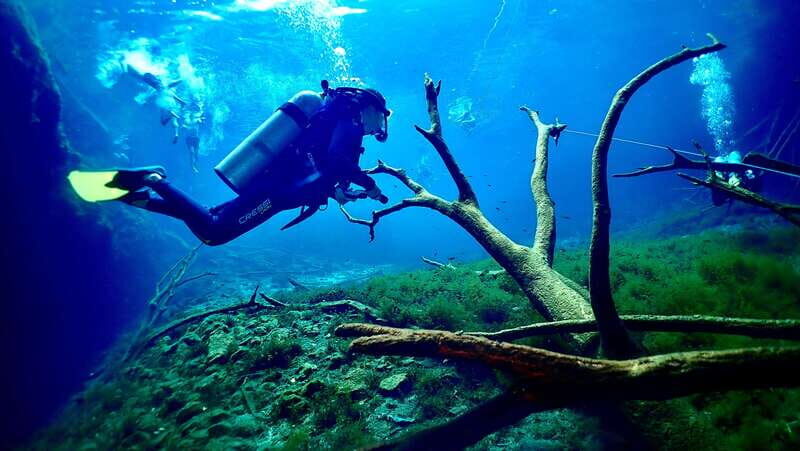 Tulum: 2 Tank Cenote Dive - Understanding the Cenote Diving Experience