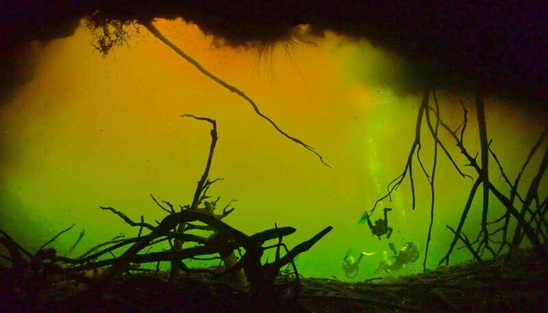Tulum: 2 Tank Cenote Dive - Highlights and Unique Features