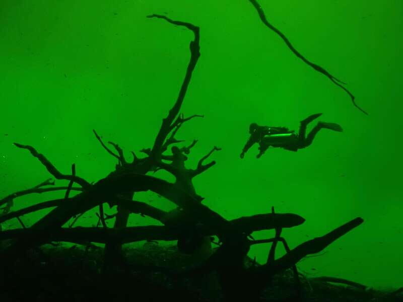 Tulum: 2 Tank Cenote Dive - What Makes This Tour Stand Out