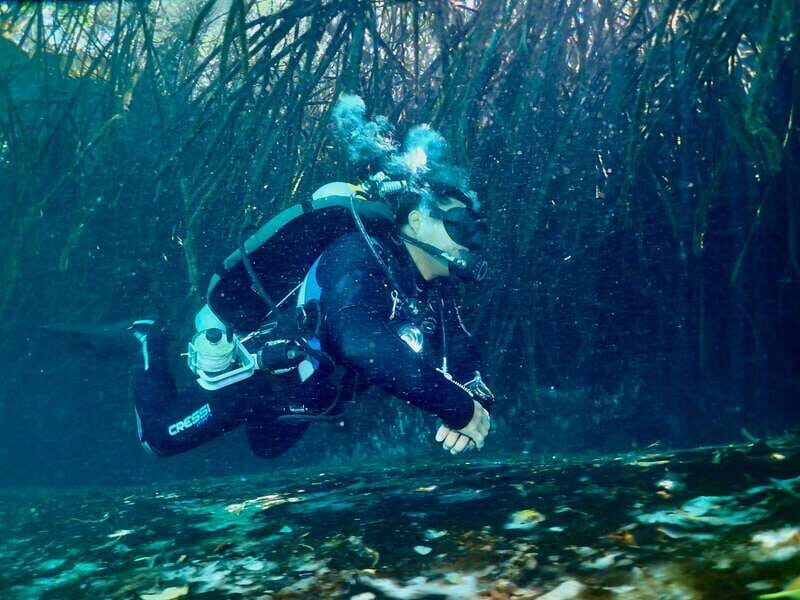 Tulum: 2 Tank Cenote Dive - The Sum Up