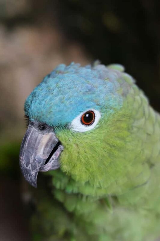 Tulum, 4 Cenotes, Playa del Carmen - Final Thoughts