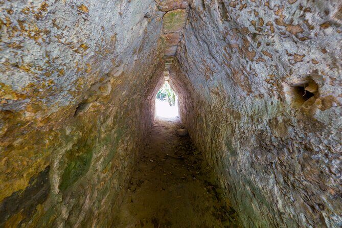 TULUM 4x1: Archaeological Zone, COBA, Cenote, 5th Avenue and lunch. - Frequently Asked Questions