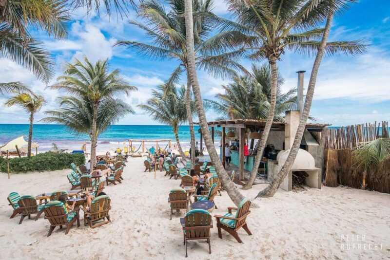 Tulum: Ahau Half-Day Pass with Premium Food and Drinks - Key Points