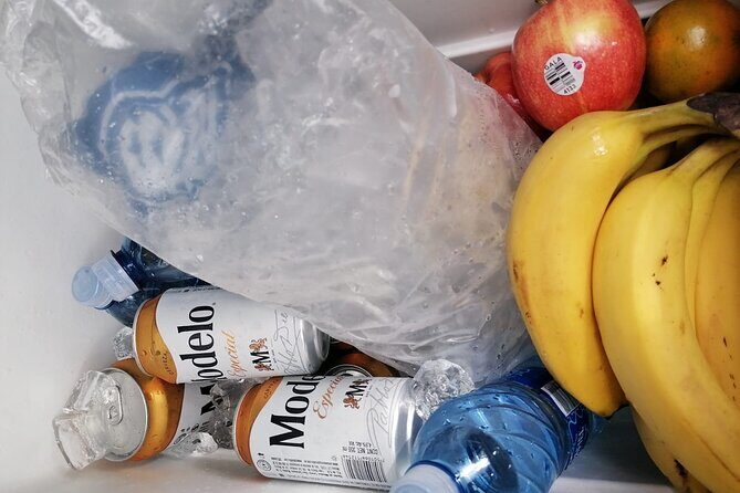 Tulum Airport Private Transportation to Tulum - Who Is This Service Best For?