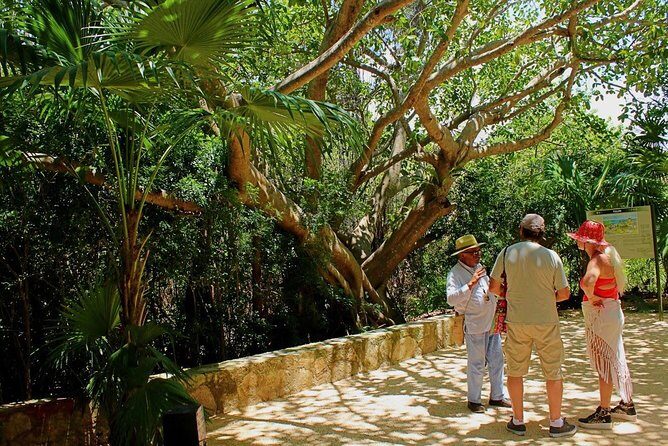 Tulum and Cenote Casa Tortuga Day Trip - Is This Tour Worth It?