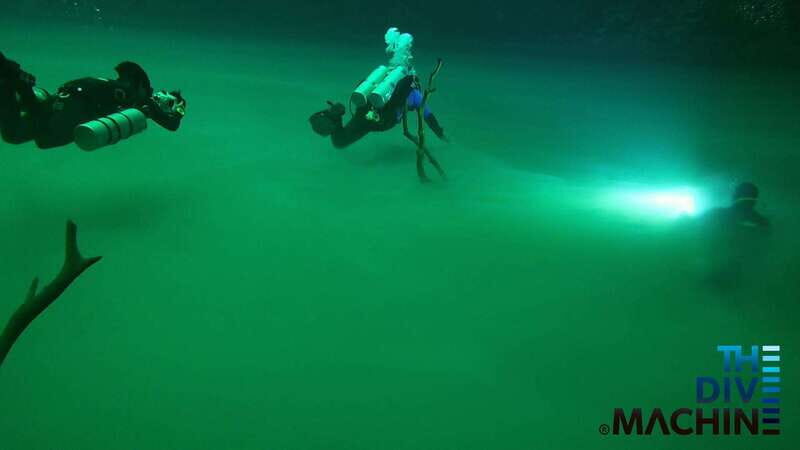 Tulum: Angelita & Carwash Cenotes Dive - An In-Depth Look at the Tour