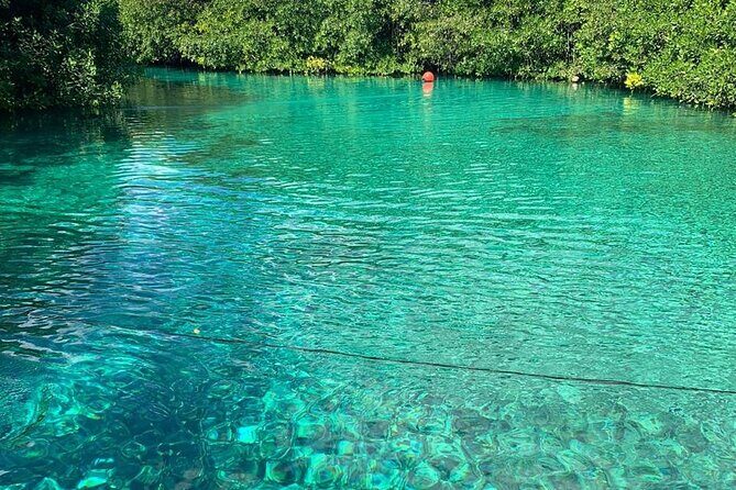 Tulum Area Experiences 2 Tank Guided Scuba Dives at Dos Ojos Cenote's + Lunch - Key Points