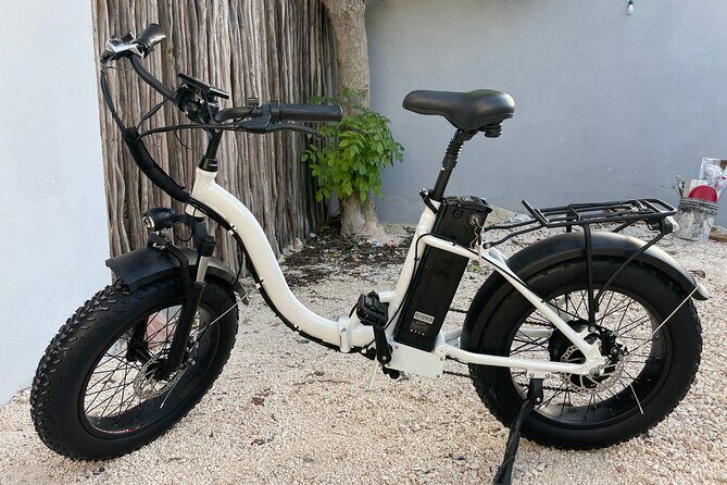 Tulum Area Experiences Guided E-Bike Tour- 3 Cenote's Snorkel/Swim & Local Lunch - Who Should Consider This Tour?