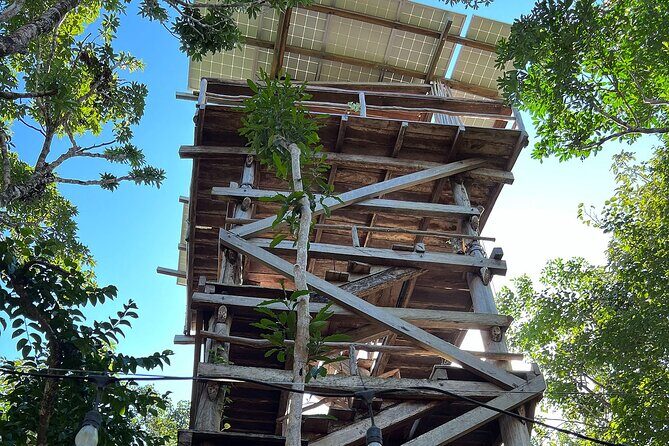 Tulum Area Guided ATV/Scooter Tour 2 Cenotes Snorkel/Swim + Jungle Cantina Lunch - Final Thoughts