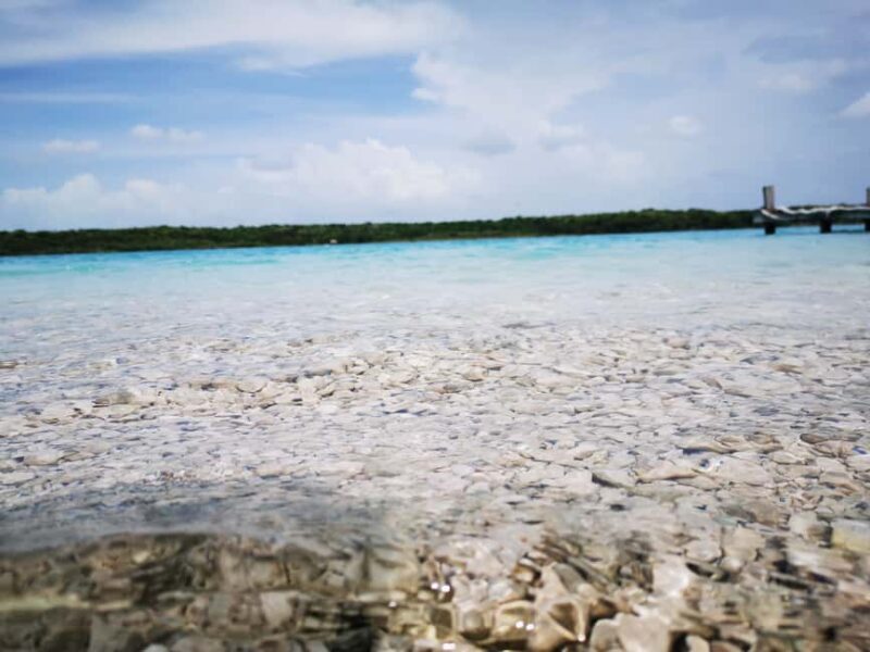 Tulum: Bacalar 7 Colors Lagoon Day Trip with Transport - Who This Tour Is Best For