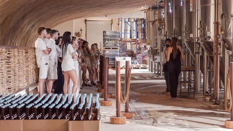 Tulum beer school, brews & bites and visit to beer fabric - FAQs
