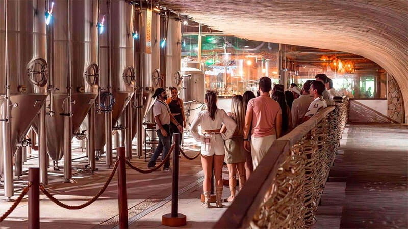 Tulum Beer Tasting Brewery Tour Beer School & Transportation - Key Points