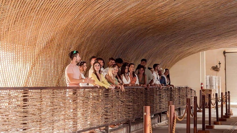 Tulum Beer Tasting Brewery Tour Beer School & Transportation - What to Expect from the Tour