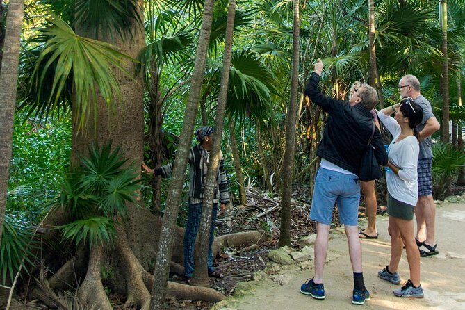 Tulum Bike Tour Tulum Maya Ruins Cenote Swimming Pueblo History Art Tacos Lunch - Practical Tips for Making the Most of Your Tour