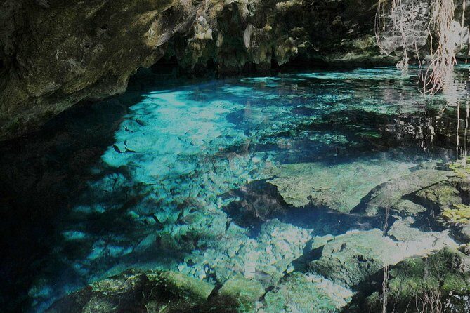 TULUM, CENOTE, MYSTIKA MUSEUM, TURTLES SNORKELING (Private) - Frequently Asked Questions