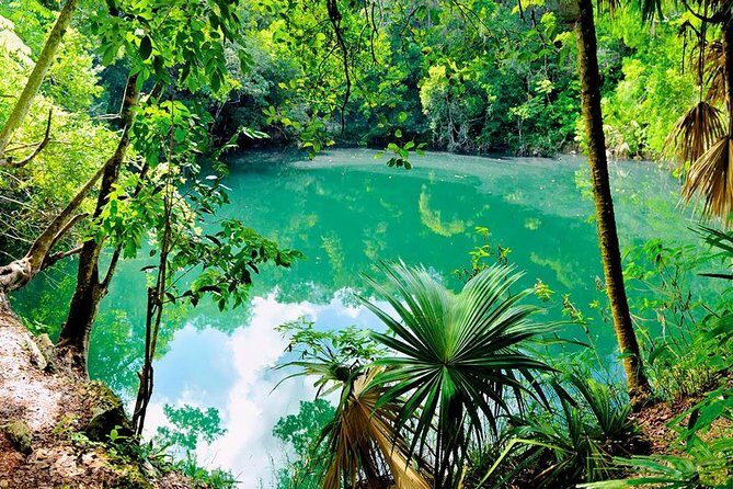 TULUM, CENOTE, MYSTIKA MUSEUM, TURTLES SNORKELING (Private) - Final Thoughts