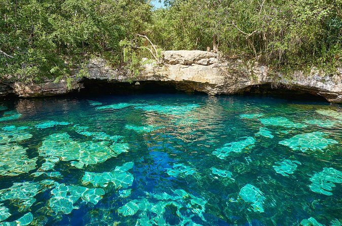 Tulum & Cenote - Private Express Tour - Who Should Consider This Tour?