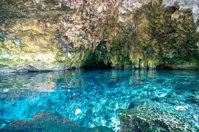 Tulum Cenotes Discovery: Swim & Snorkel in Natures Pools - The Experience of the Guides & The Value