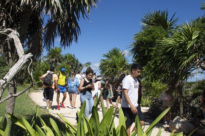 Tulum & Coba Ruins Tour! Cenote swim from Tulum City - Authentic Opinions from Past Travelers