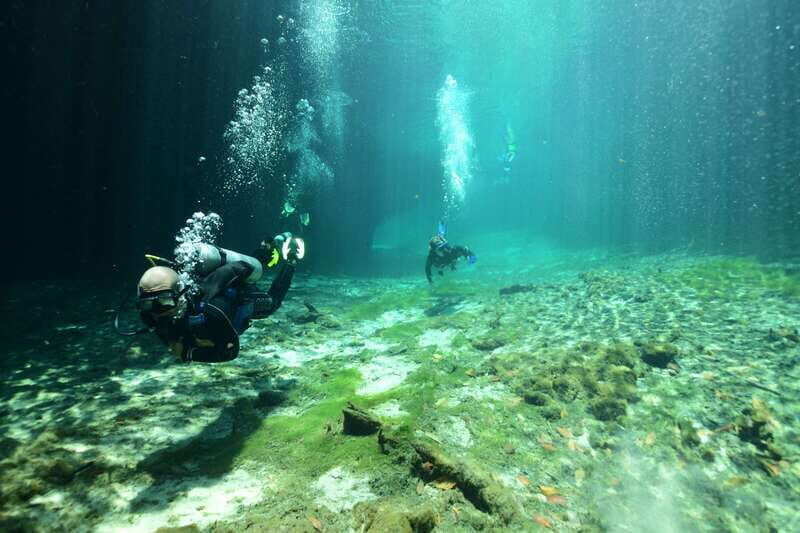 Tulum: Discover Scuba Diving in Cenotes - The Experience Breakdown