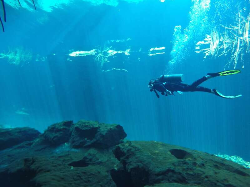 Tulum: Discover Scuba Diving in Cenotes - What the Reviews Say