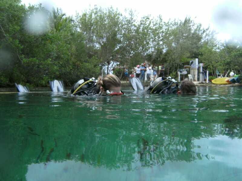 Tulum: Discover Scuba Diving in Cenotes - The Practical Side: Logistics & Value