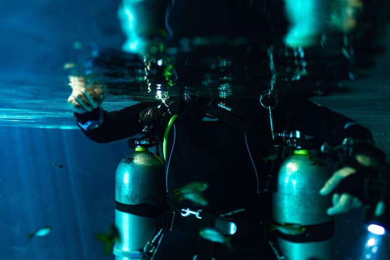 Tulum: Discover the Depths of Dos Ojos Cenote - The Experience in Detail