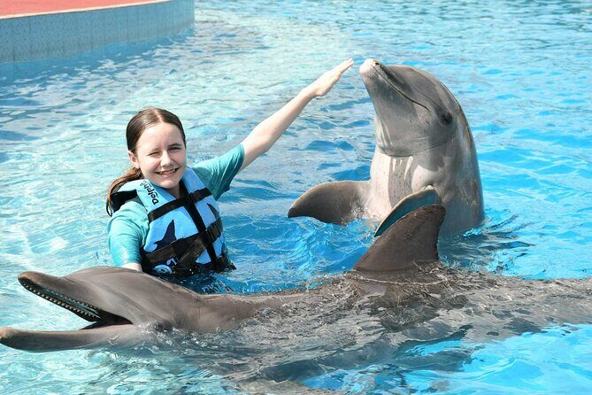 Tulum & Dolphin Connection from Cancun - Final Thoughts