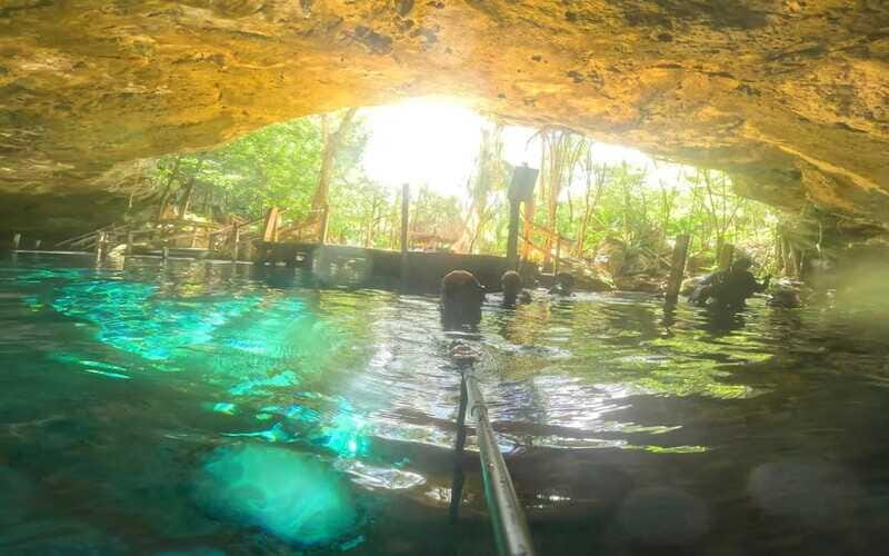 Tulum: Dos Ojos Cenote 2 Scuba Dives with Transfer Option - Final Thoughts
