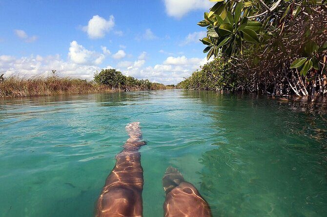 Tulum Guided Scooter Tour, Muyil Ruins, Boat Eco, Float Down Mayan Canals Lunch - Final Thoughts