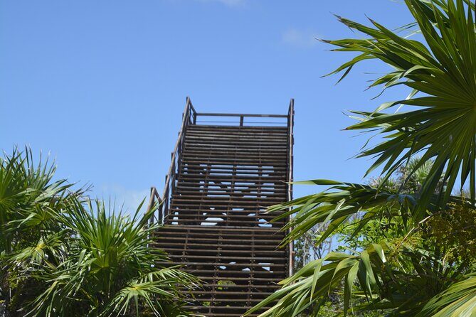 TULUM Jaguar Park Day Pass - What’s Included and What You Need to Budget For