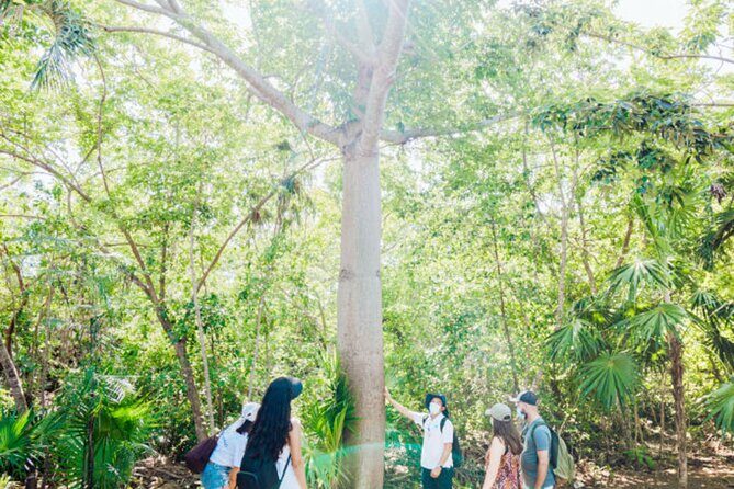 Tulum, Jungle ATV and Cenote Adventure - What Travelers Are Saying: Insights from Reviews