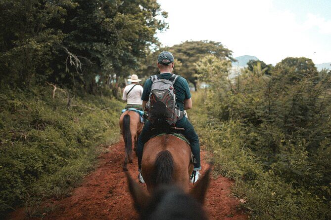 Tulum Jungle Horseback Ride + ATV + Ziplines + Cenote Combo Tour - Wrapping It Up