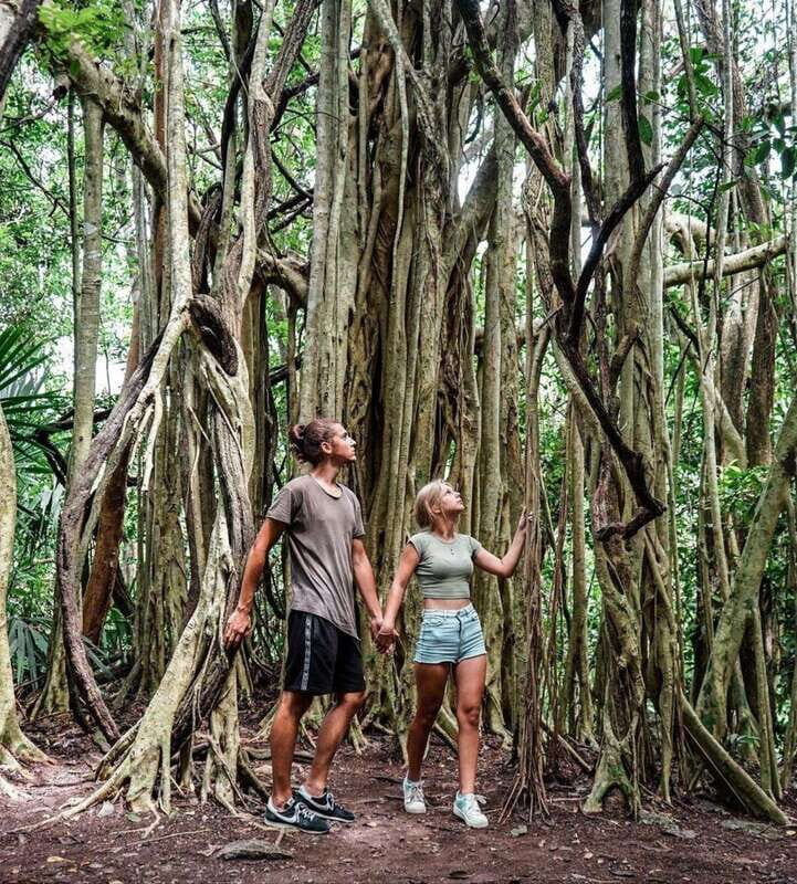 Tulum: Monkey Sanctuary Adventure - Who Is This Tour Best For?