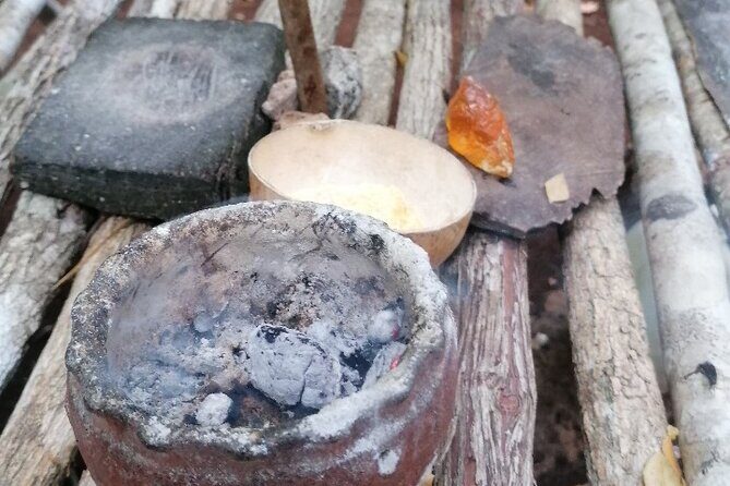 Tulum Monkey Sanctuary Tour Punta Laguna - A Closer Look at the Punta Laguna Tour