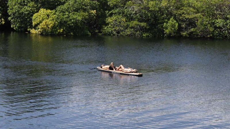 Tulum: Pargo Restaurant Cenote Dining Experience - An Honest Look at the Pargo Cenote Dining Tour