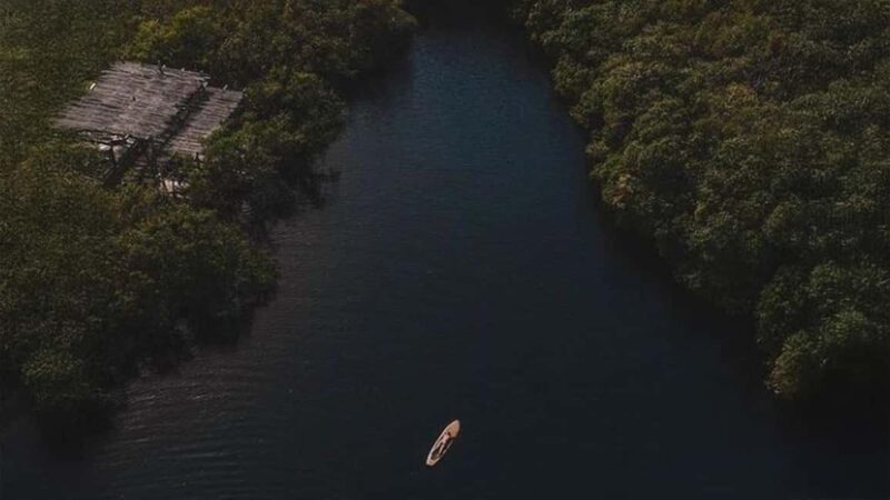 Tulum: Pargo Restaurant Cenote Dining Experience - Final Thoughts