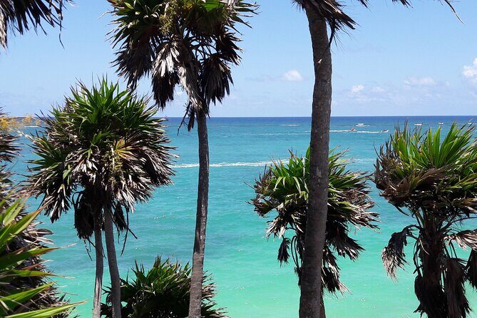 Tulum Private Boat Tour & Turtle Snorkeling Experience - The Practicalities