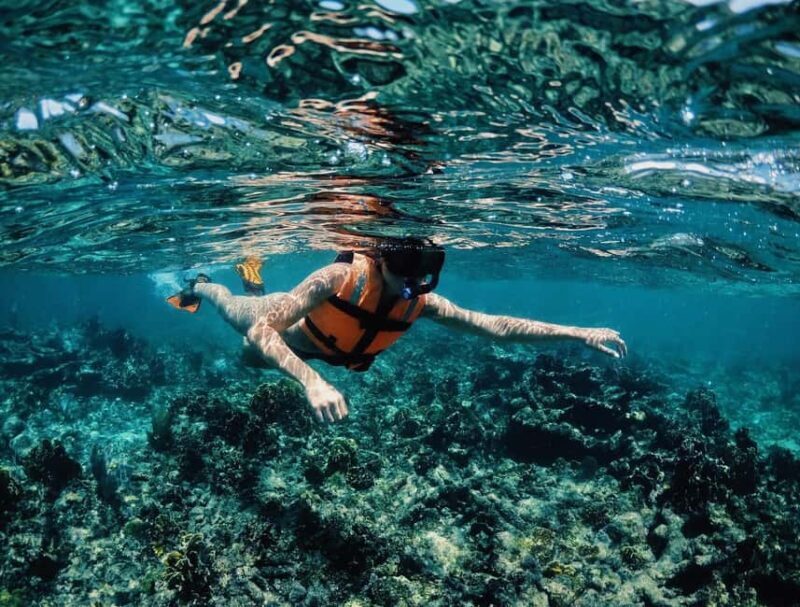 Tulum: Private Snorkel and Sailing Experience - Extra Perks and Local Environment