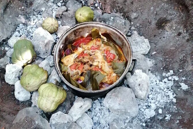 Tulum Private Transportation - Who Would Love This Service?