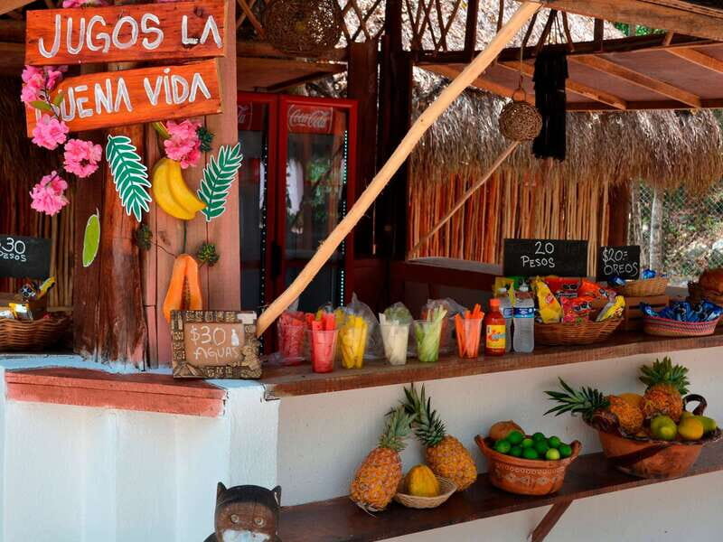 Tulum: Raw Honey & Chocolate Tour with Vegan Lunch & Cenote - What This Tour Offers: An Honest Breakdown