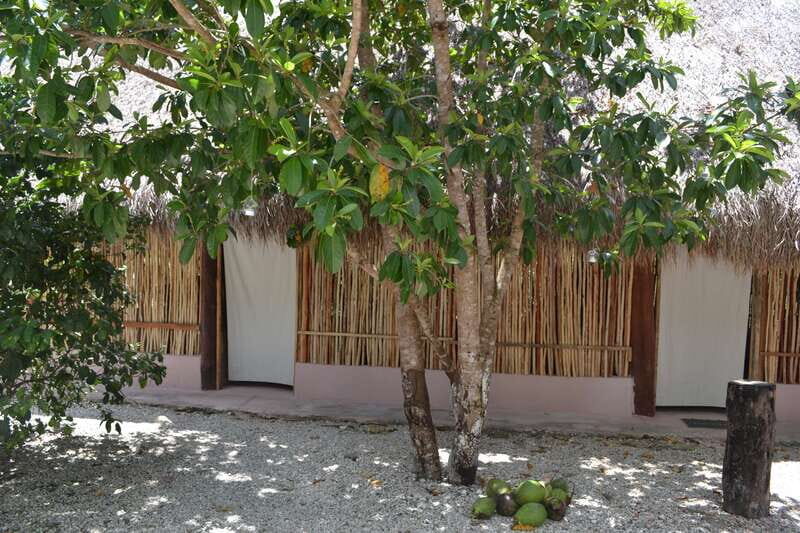 Tulum: Raw Honey & Chocolate Tour with Vegan Lunch & Cenote - Who Should Consider This Tour?