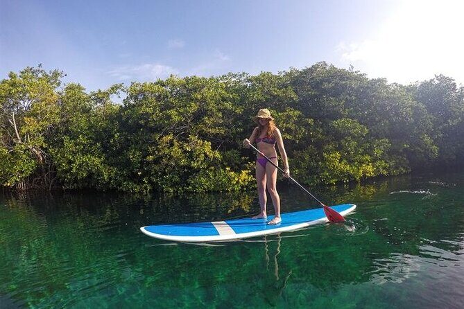 Tulum Reef Snorkel, ATV/Scooter/E-bike, Cenote Swim/Snorkel/Paddle Board + Lunch - Frequently Asked Questions
