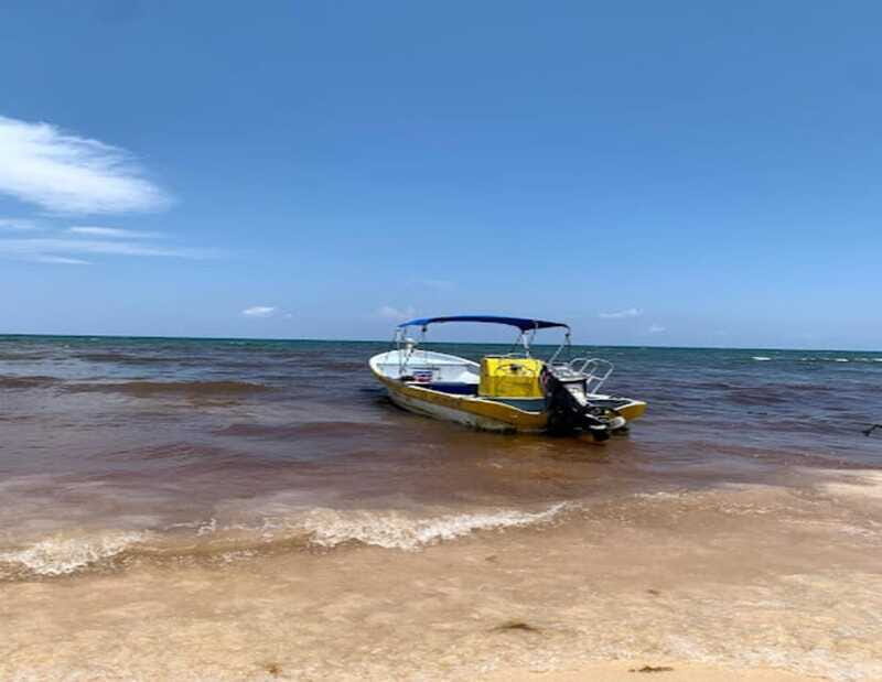Tulum: Reef Snorkel Tour - The Experience from a Travelers Perspective